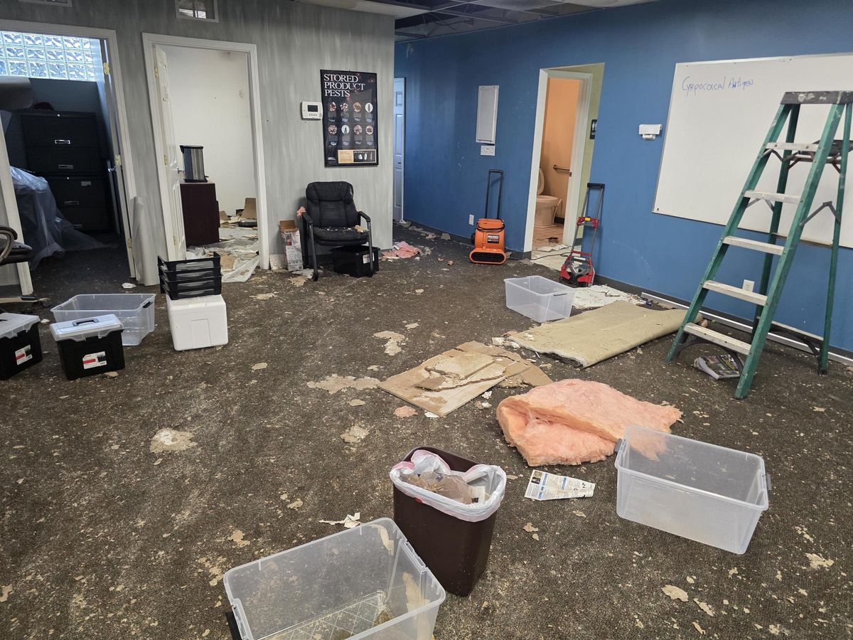 Storm-damaged office interior at Perfection Pest Control in Union, Kentucky, before reconstruction